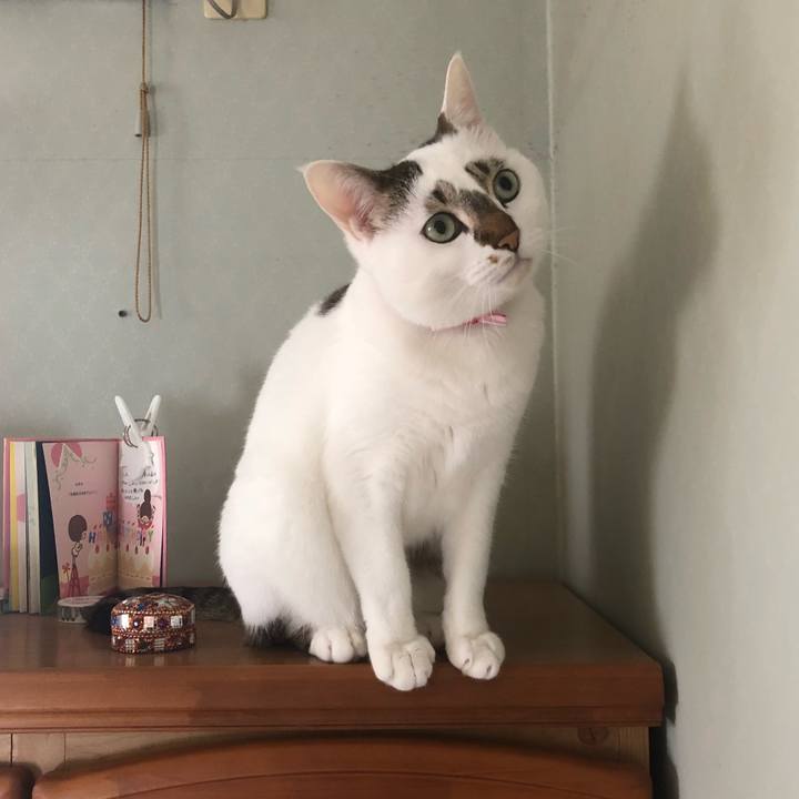 23842f5b 7b08 4368 9e32 8100aa311c82 1530882372108