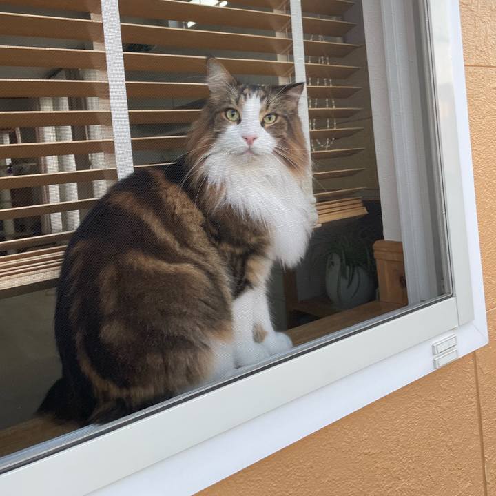 23844225 65b2 4e30 9f0f 0088666dd002 1728767668076