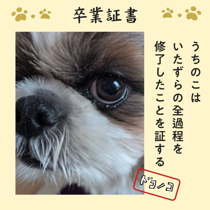 2384762b 424d 4f84 a40b a5b78acd720c 1772276564343