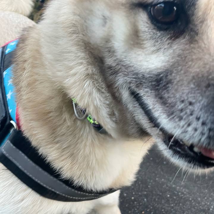 23849c00 942d 4725 ae9f d7385336e184 1710335471193