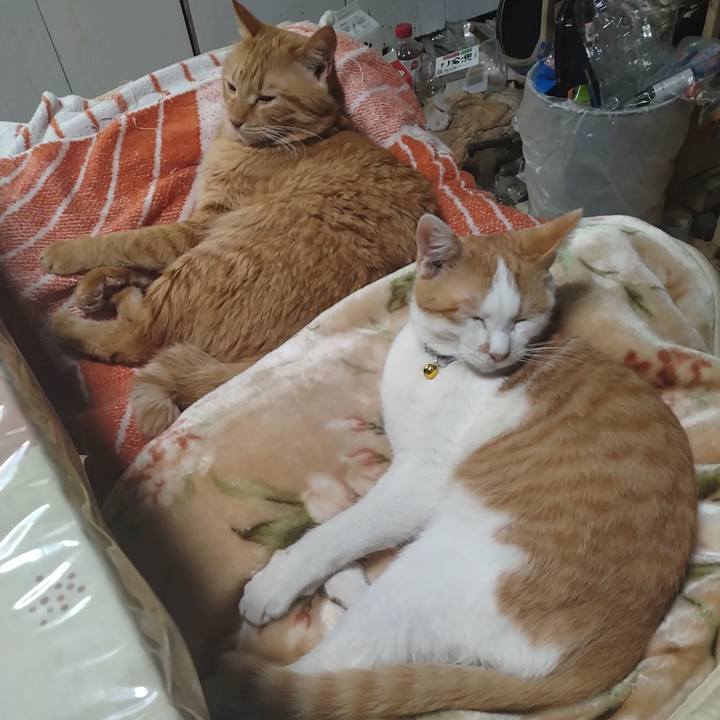 2384a073 d51a 4df8 a6bf 973074384735 1739862718343