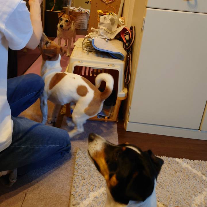 2384a878 d58e 4059 ac4b f1680c6f6b16 1653380067905