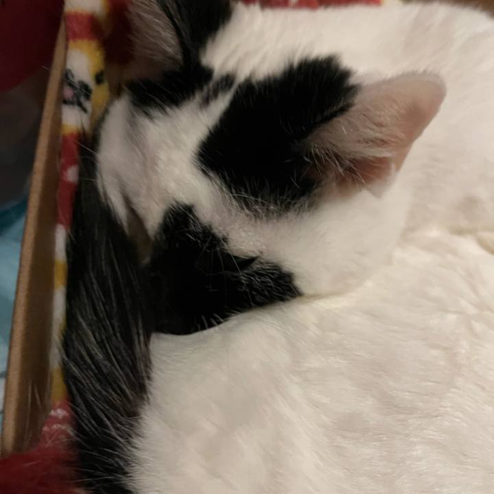 238528b3 0469 4a0a 91fc a154bc473fcd 1773065748703