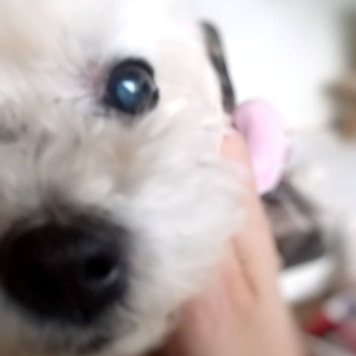 23854147 1c4e 4f52 9e3d b1032ccb5c04 1619246432110