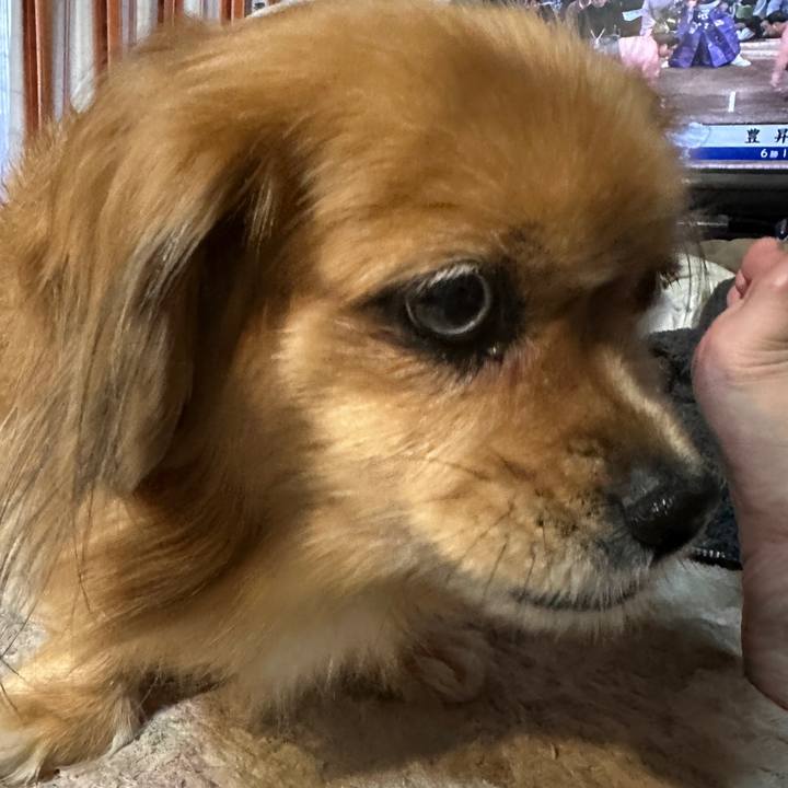 23856d49 4d2f 4f63 bddb bee7cc679407 1700429137102