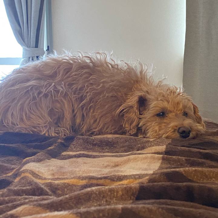 238580c9 ea2c 4450 af77 f16348f8ee65 1674539656108