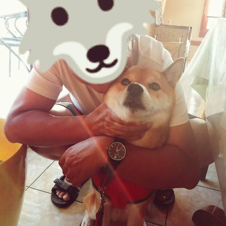 2385adf2 2311 4db3 9c66 3aa4aa4cf27b 1659881229014