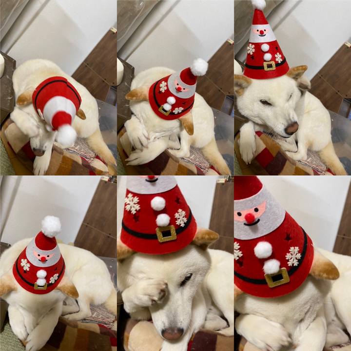 2385c75f 7b39 42db 8c06 b7aefc1393c7 1640438478466