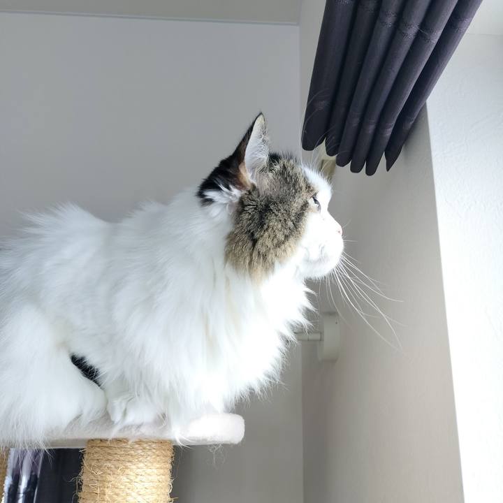 2385c95f 38ab 4329 866f cba2739e28c7 1769401777676