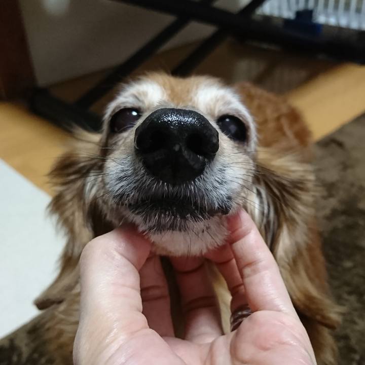 2385d960 8d05 4c96 9814 2c9842309ded 1578074407117