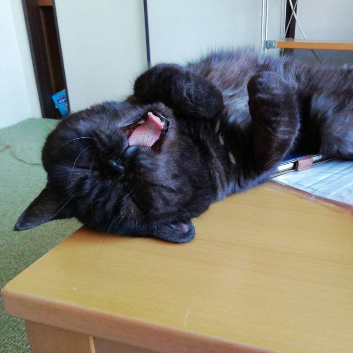 238639d9 ae2d 4e08 99ec 448998d3c8e7 1700698827538