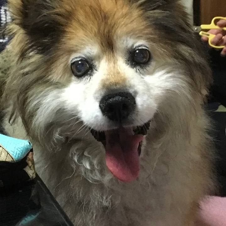 2386918b 8829 42eb a4fb 006b4ec8119c 1608912161666