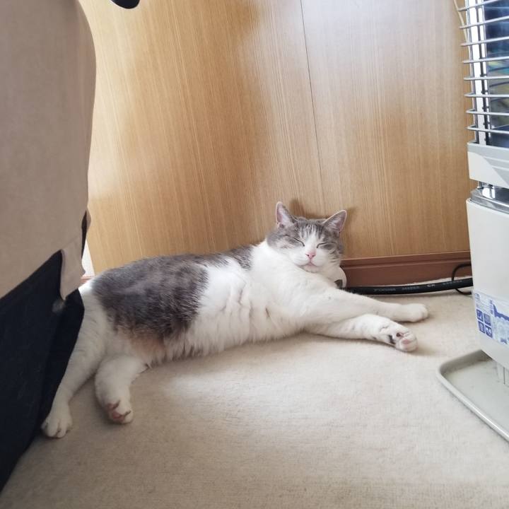 238694de 1f7c 4013 838a c237235bdd5d 1634876057222