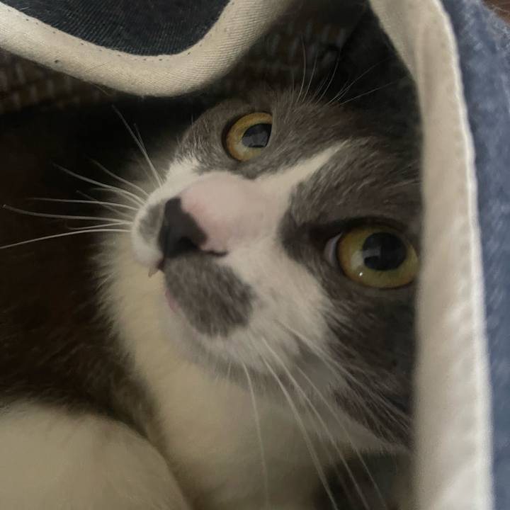 2386d224 3471 4b3a a746 41300eb748a6 1716419815398