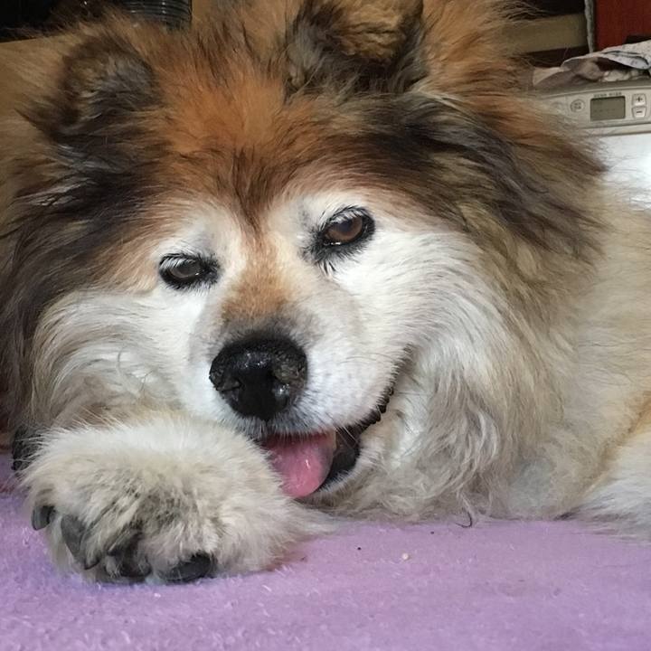 2386d32f 82ae 45f4 bbbf 4d964b9183e2 1607658180136