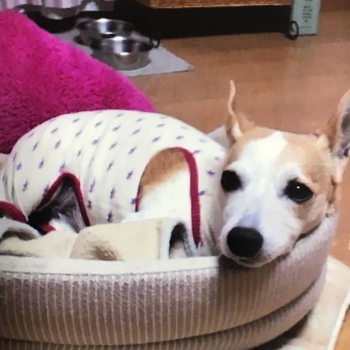 2386e4e1 1b2b 4000 a092 daebf55f0ef8 1569974328405