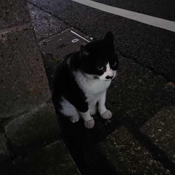 23870391 7ea0 49e4 9e93 f204684f4fc3 1623152361806