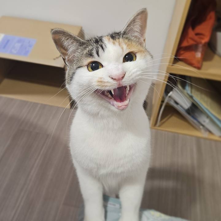 2387307a 4d44 452b 8657 98f68f451830 1772628589827