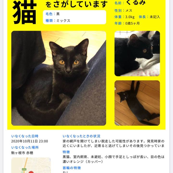 23875ce3 84c2 412d 82e7 6c3c7737cffa 1602553435954