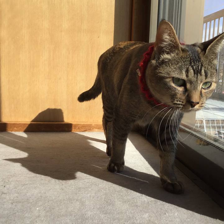 2387778a 484a 4f73 969d e742d48879ea 1614058440963