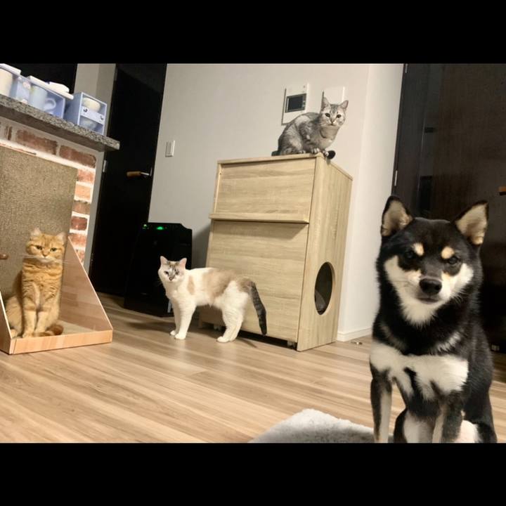 23879a29 7d2e 4317 a003 58d7f30eb187 1667468677024