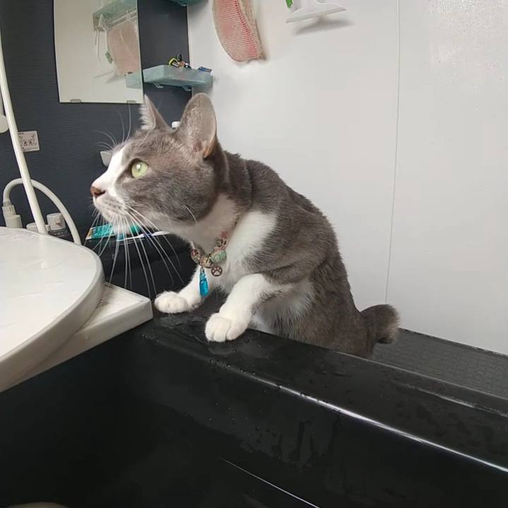 23881a16 8db5 4ada 924c 9cbbe7d6684e 1699155053561