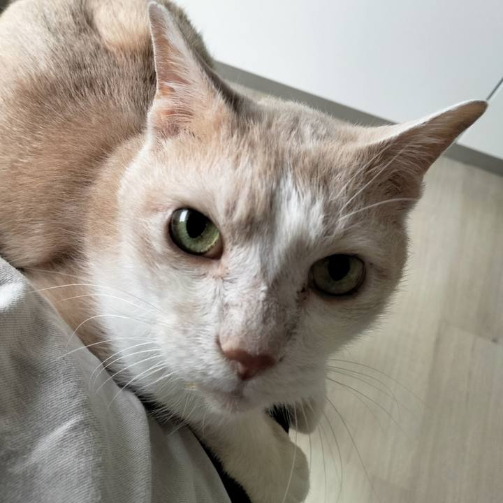 23881d6f 02c4 4c64 93ed 70f11259f612 1687472434059