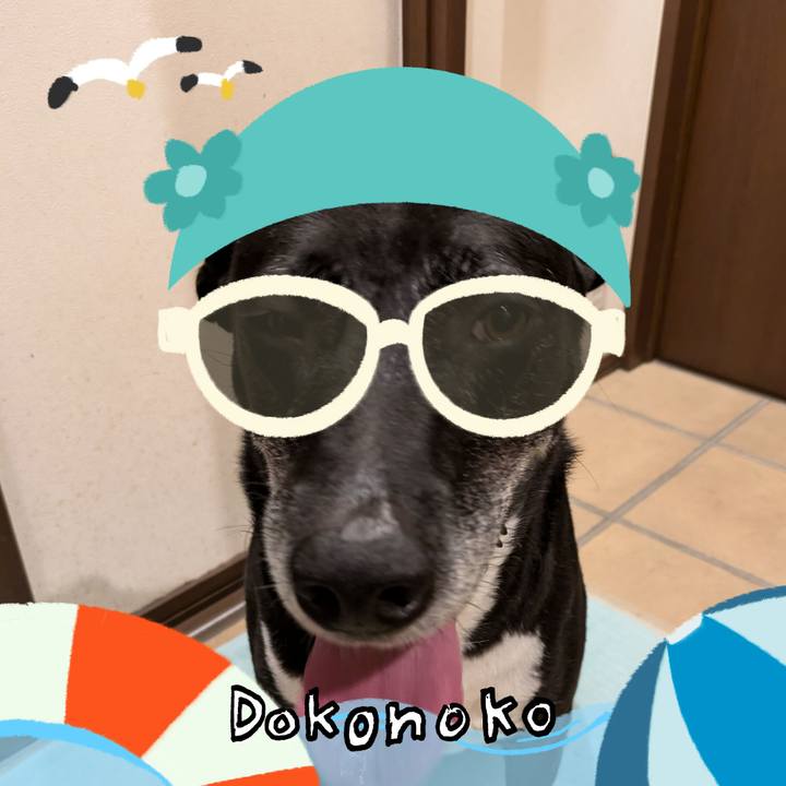 23881f33 7f40 4fa7 aa23 c38e87eb26a0 1723171920685