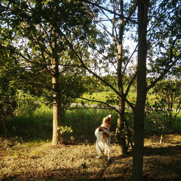 23881f89 af22 4458 afe3 992b6ce6001d 1534679522549