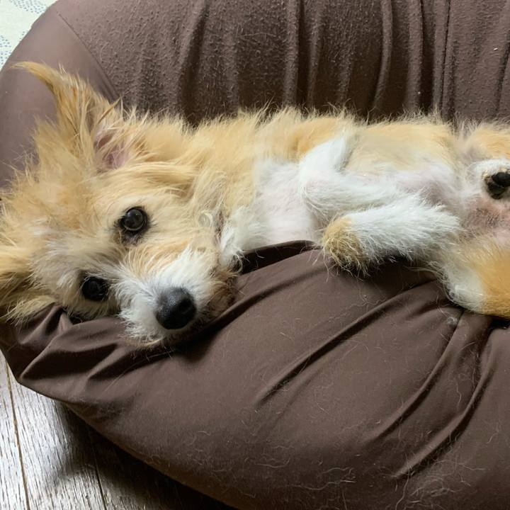 238839b7 0533 4bb8 8169 bf5014fc2bdb 1666358910944