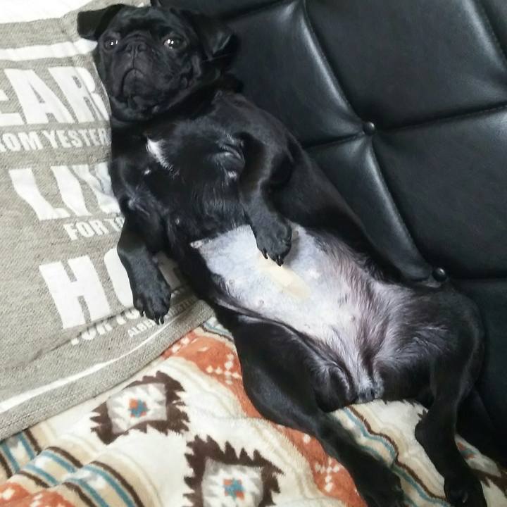 23884ed2 5b70 44ca abe9 497e5aa38aac 1530327143882