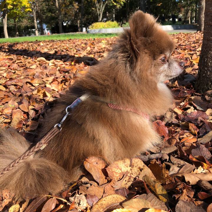 23886a36 03b2 48c8 b9a5 a28f1123b126 1603758081923