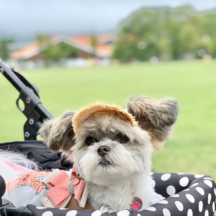 238878c9 9f28 4476 a591 419aaf1f408d 1599832510484