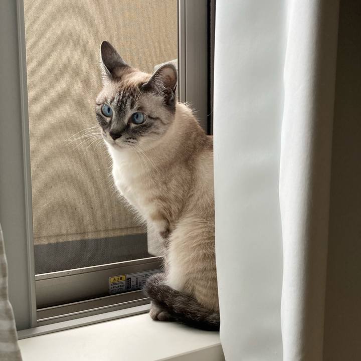 23888f39 1b73 4b18 b536 a7dfebf19ac0 1622855172010