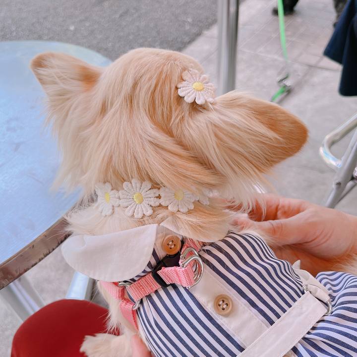 2388a93d d0c5 4efd 9335 fe58eb503266 1651564098795