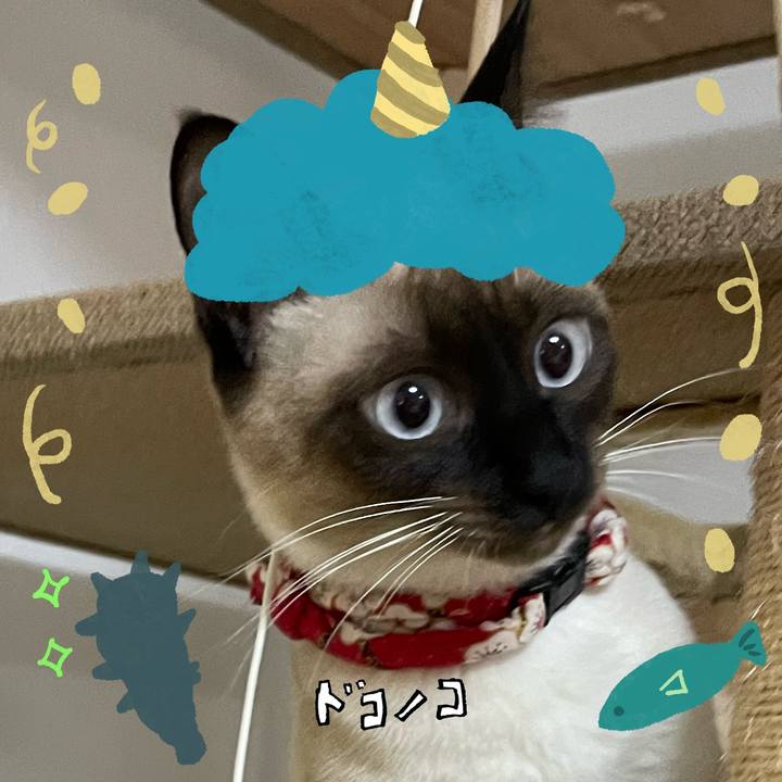 2388d40b cc3b 4d3e a7fe 9fb3861fd332 1706945520041