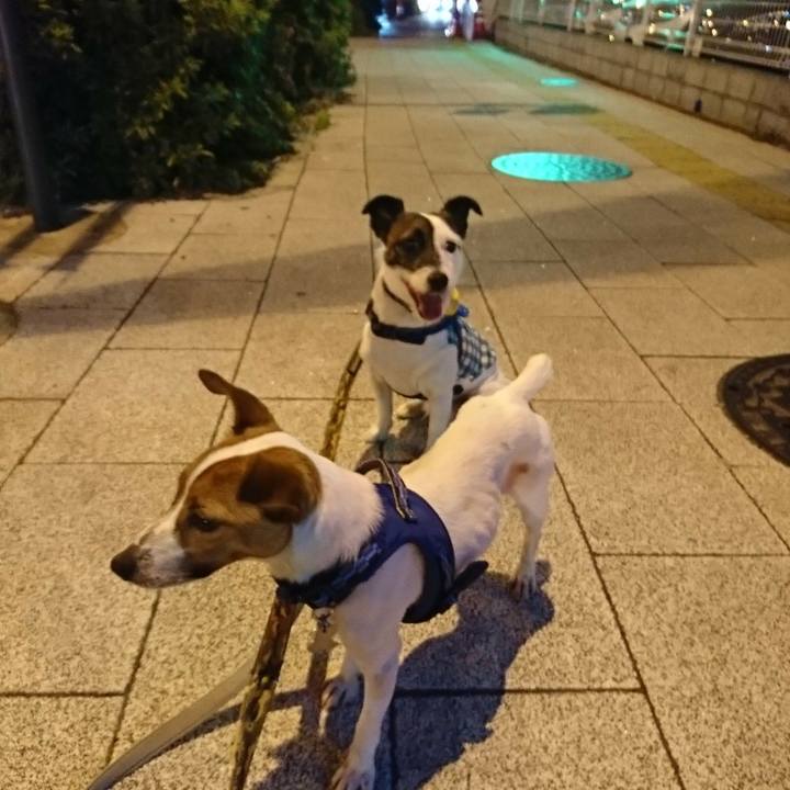 23890615 07c9 44cb b693 64dc0b5b75b2 1526559531809