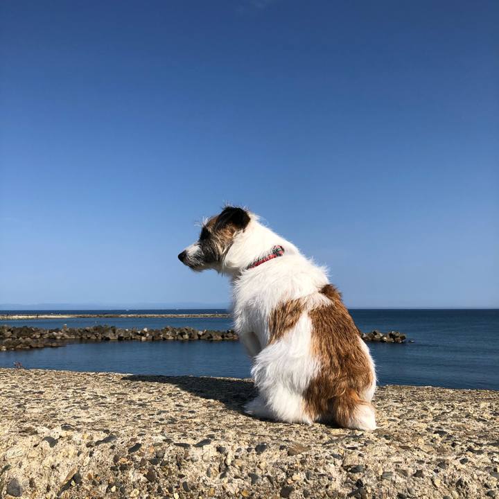 23890c28 5605 4cc1 8318 1b6cd228ffaf 1590274986562