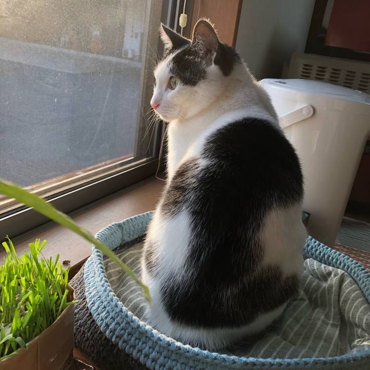 23892303 d515 4674 9ae7 3dc2edd26d14 1711751328087