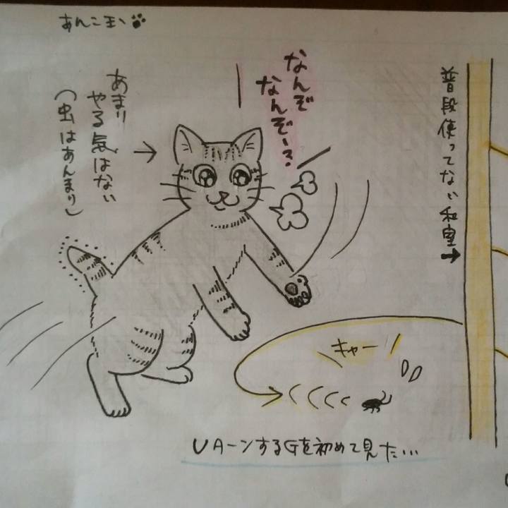 23894b72 c220 4061 9114 d2a7e8120904 1574564151479