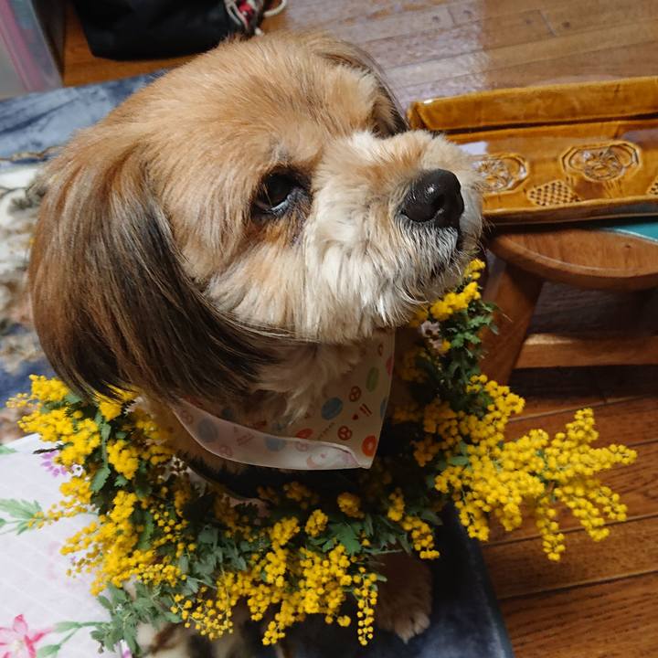 23894cfd da03 4ef7 82cc 2812f3249713 1582877747445