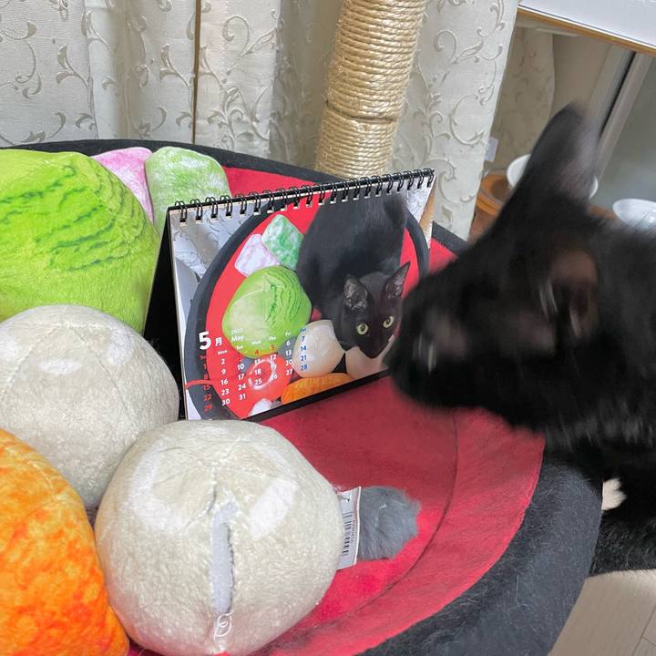 238950b5 623d 4357 af77 de3fa6f604c5 1653912263646