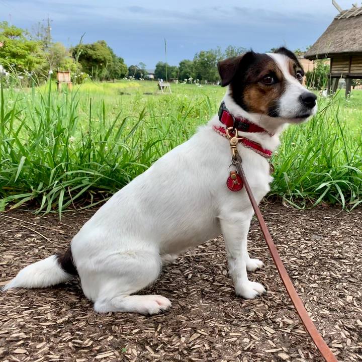 238952e3 dd69 43a2 8ae1 7857b7459634 1562396367842