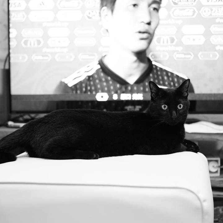 23897c3f 4a64 469e ab85 7896ee808c94 1529418800965