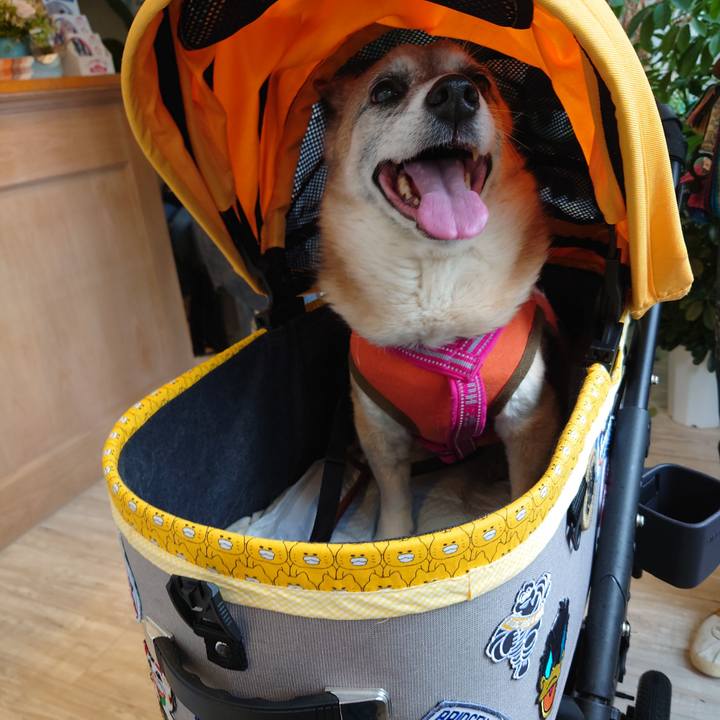 2389e1c5 dee4 4fdc 8342 599b42b7c7f8 1621660228330