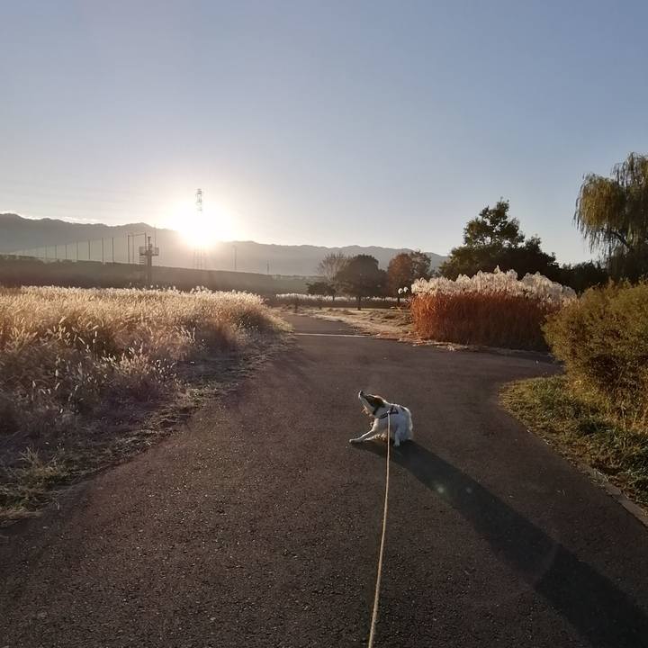 238a17df c57b 4b4b 884c f28ebd3cca74 1574991294170