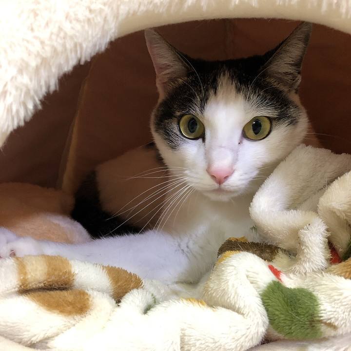 238a2cbe bb83 41f5 b7d1 128e9313904a 1671178177699