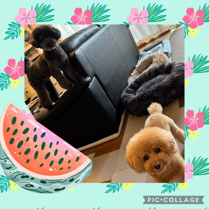 238a6d32 b6ba 4d15 a858 029409d229ef 1751532967124