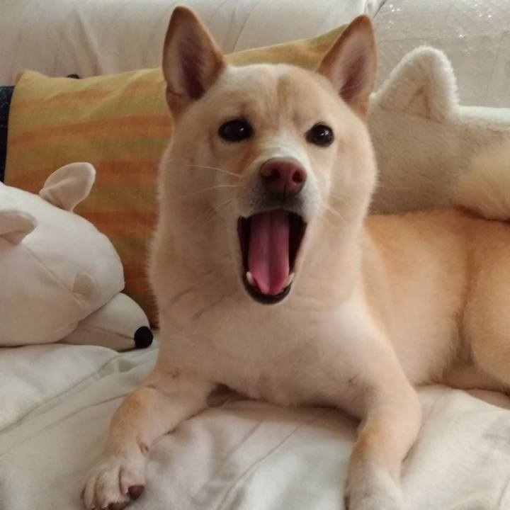 238a9f9e 9679 49d4 bd67 dd8c1bea998a 1560813795989