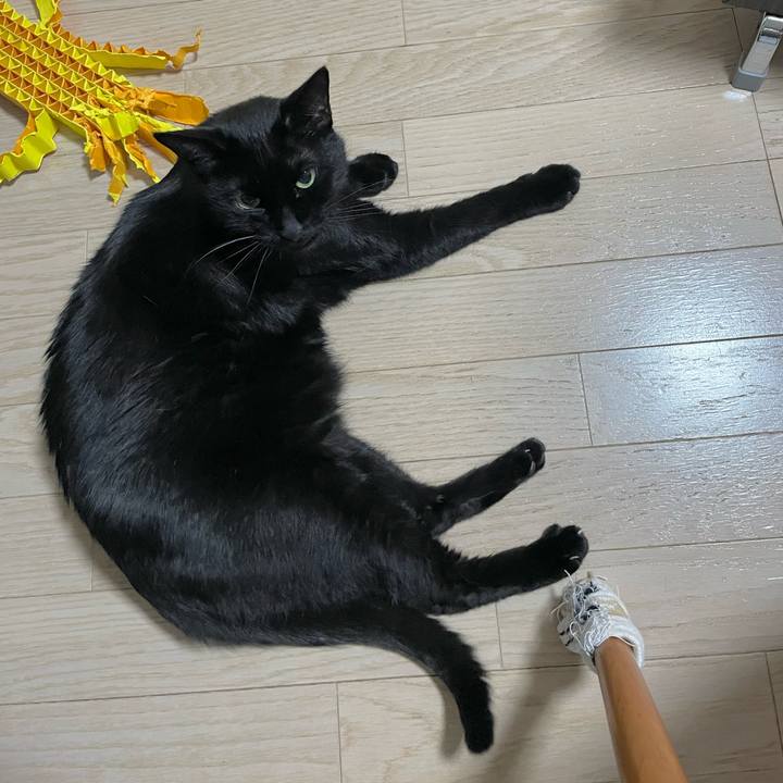 238aa5b9 8da1 4676 9f89 d602ed5fa7d6 1703592791249